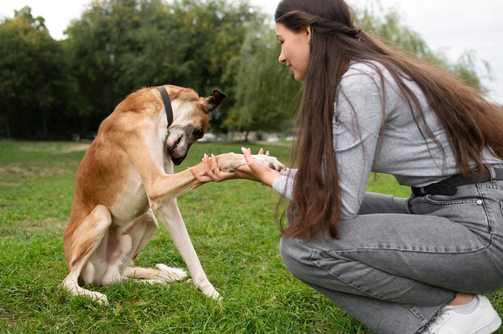 side-view-woman-training-dog-outdoors
