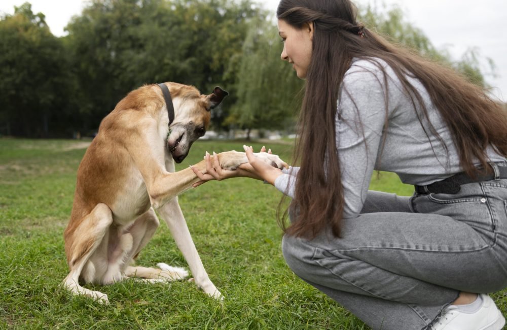 side-view-woman-training-dog-outdoors