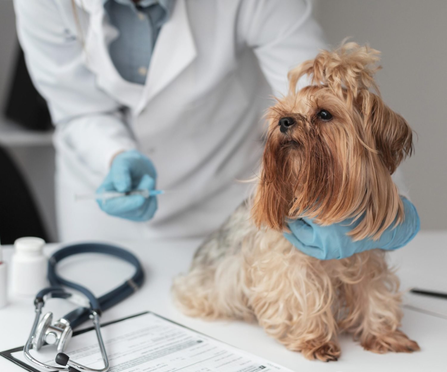 veterinarian clinic